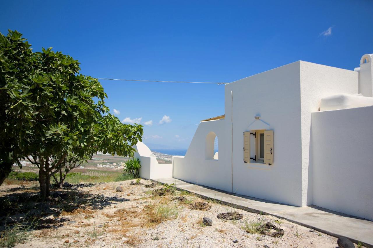 White Orchid Villa Pýrgos Eksteriør billede